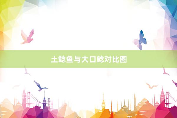 土鲶鱼与大口鲶对比图