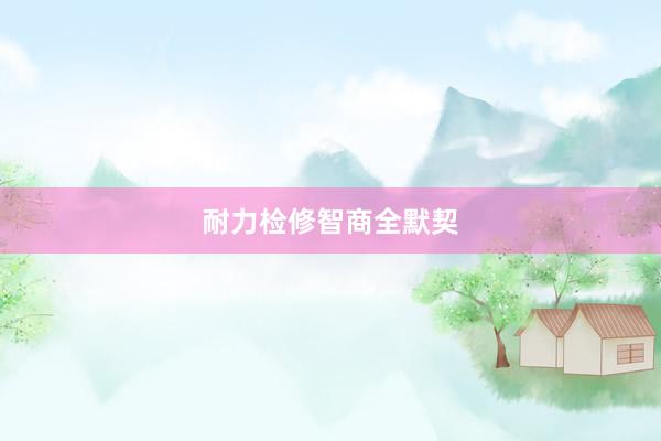 耐力检修智商全默契
